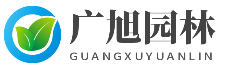 济南庭院景观设计施工公司